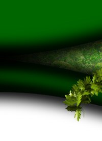 camping portugal et caravaning au portugal