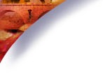 cours de portugais - methode