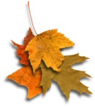 climat et temperature au portugal en novembre et dcembre - hiver