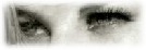 regard sur une tourada